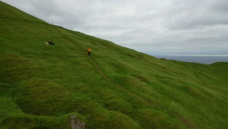 Toma-Aérea-Estática-De-Un-Hombre-Bajando-Una-Montaña-Junto-A-Algunas-Ovejas-En-Kalsoy,-Islas-Feroe.