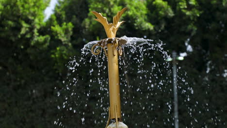 Wasserbrunnen-Im-Garten---Nahaufnahme