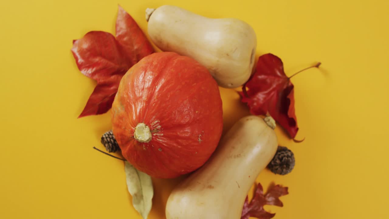 video de calabazas con piñas y hojas de otoño sobre fondo naranja