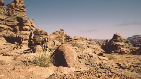 unique rock formations and desert vegetation in a rugged landscape