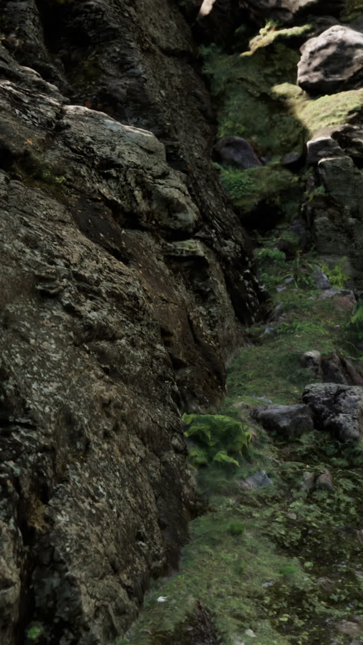 paisaje montañoso rocoso con musgo y vegetación