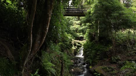 Small-Waterfall-Flowing-Through-The-Stream-Under-Footbridge-In-Parque-das-Frechas,-Portugal