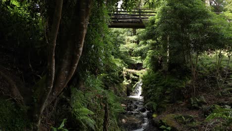 pequeña cascada que fluye a través del arroyo bajo un puente peatonal en el parque das frechas, portugal