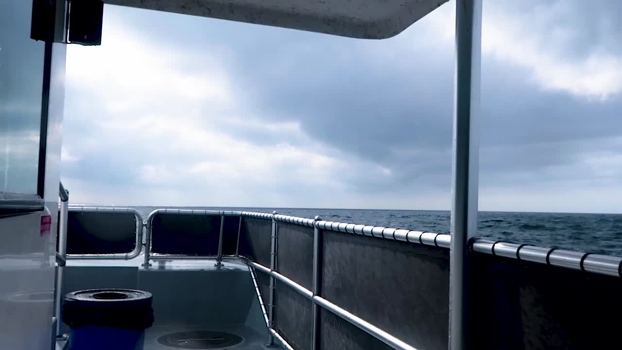 Boat moving forward looking for whales in the pacific ocean.