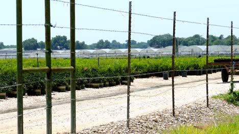 tractor driving by in farmers field with trailer full of seedling plants