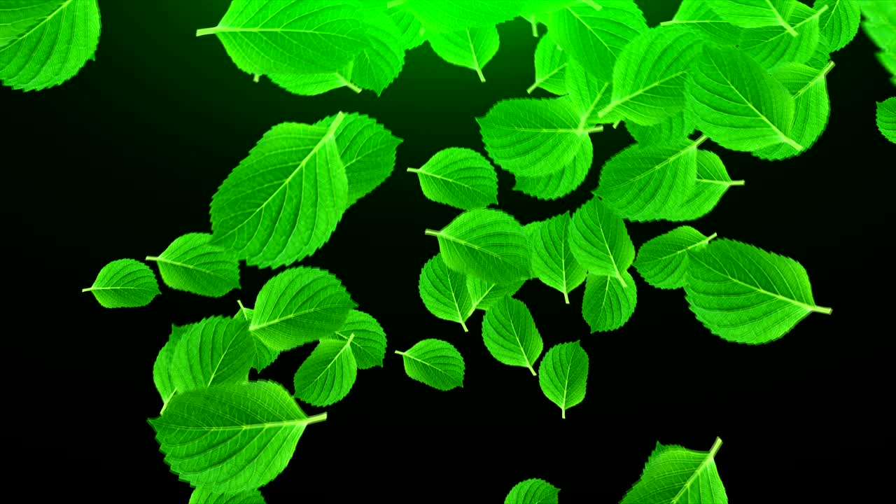 muchas hojas verdes brillantes en el espacio, fondo abstracto generado por computadora, renderizado en 3d
