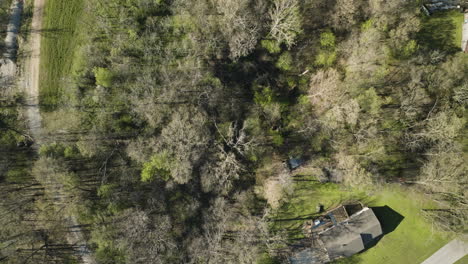 Filmischer-Flug-über-Ein-Kleines-Waldstück-Mit-Gemütlicher-Waldhütte-Und-Kieselstraße