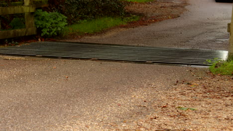 a car going over a cattle grid in the new forest