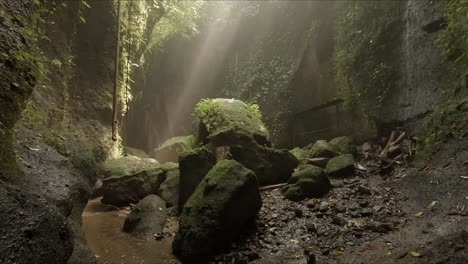 rayos de sol que brillan a través de un dosel verde hasta rocas cubiertas de musgo en el fondo de un cañón