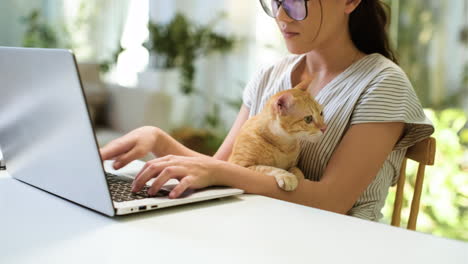 Frau-Arbeitet-Am-Laptop-Mit-Katze