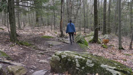 youthful active woman going for a hike through upstate new york hiking trails with her brown medium sized dog off leash