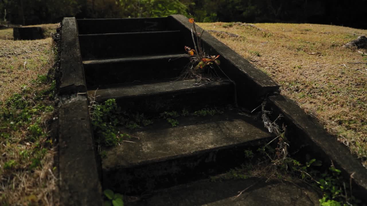 Concrete steps from a old abandoned building in Tobago, West Indies.