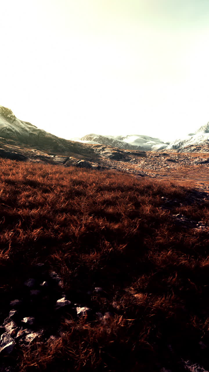 Paesaggio montano con erba autunnale e neve
