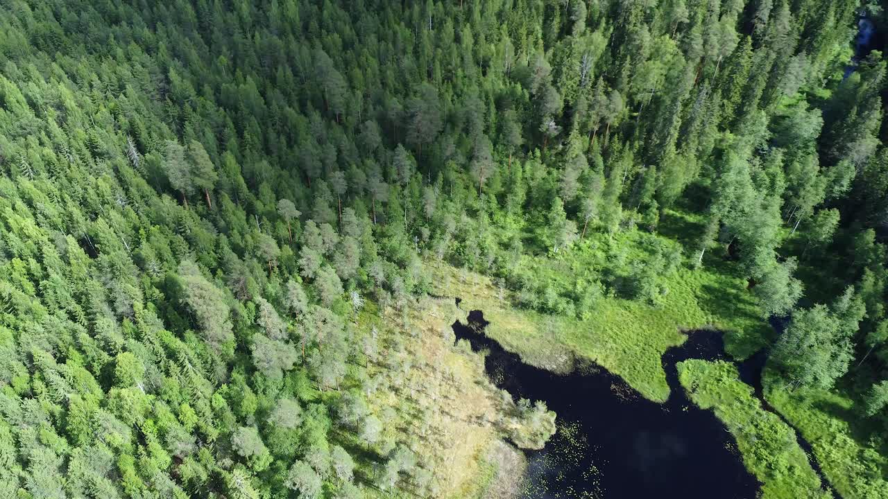 Aerial View of a Forest Lake in Finland