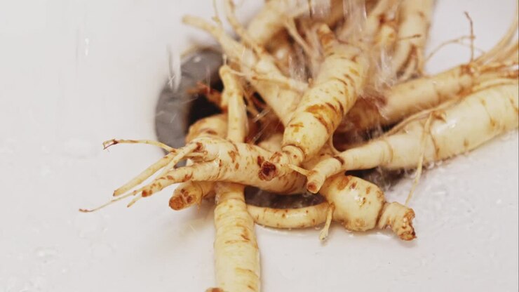 Chef washes baby Ginseng Roots in kitchen sink