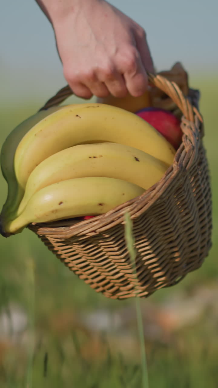 una mujer con un vestido azul fluido, su cara no visible, lleva una canasta llena de plátanos y otras frutas mientras camina hacia un niño pequeño borroso en un campo cubierto de hierba