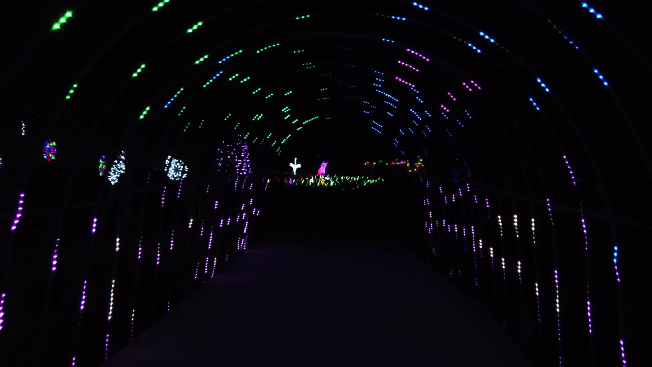 led 터널을 걷는 공원의 led 조명 축제