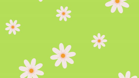 floral background with daisies