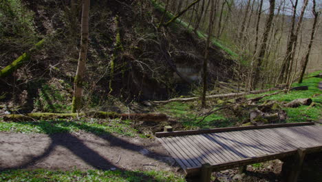 hiking trail in spring, pan right