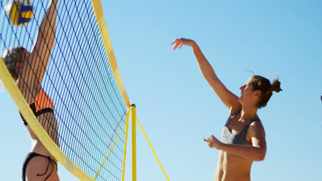 jugadoras de voleibol jugando al voleibol 4k