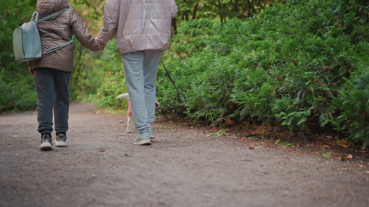dog pulling ahead on leash as mom and child walk behind on forest path home, leafy green undergrowth and autumn foliage framing scene, casual stroll in nature with energetic canine companion