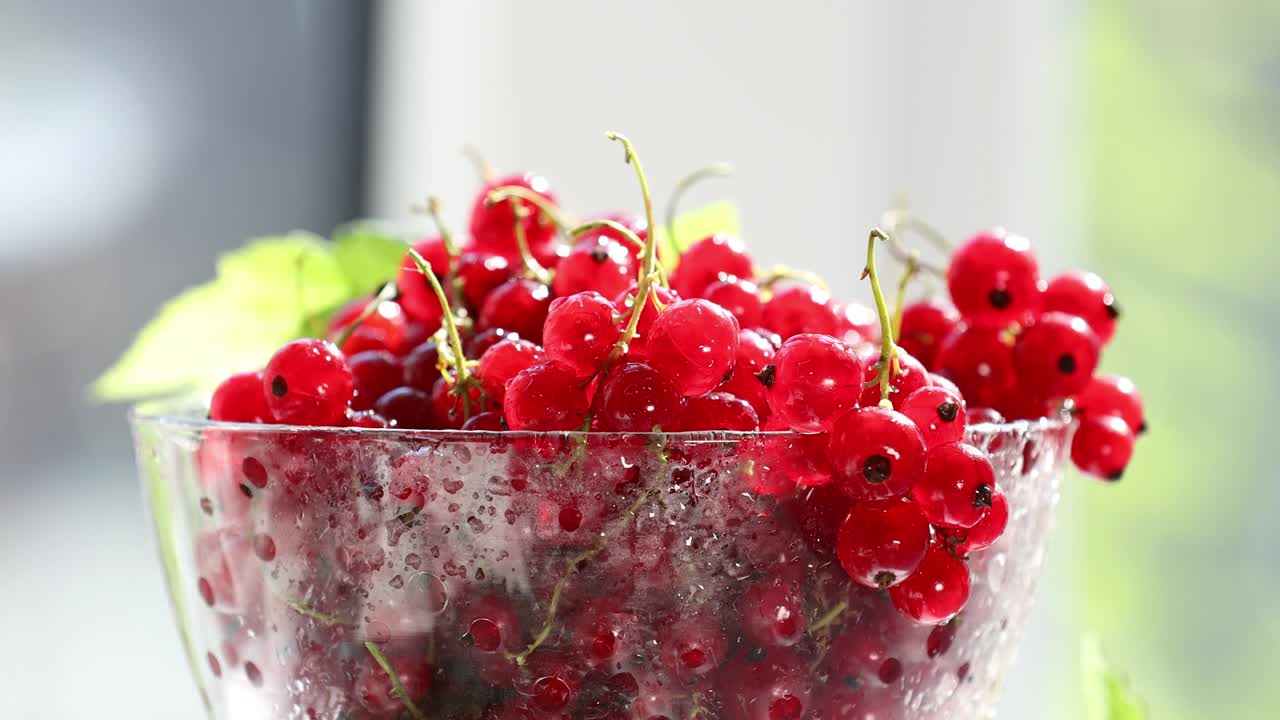 유리 접시 에 물방울 과 초록색 잎 을 넣은 익은 은 수박