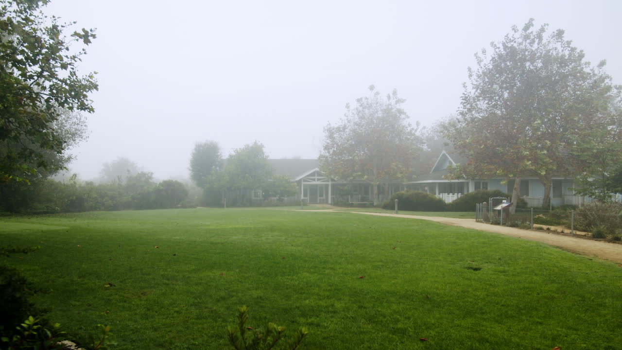Foggy Landscape with Trees and a Building