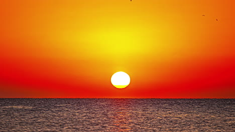 amazing timelapse shot of burning red sunrise above the ocean