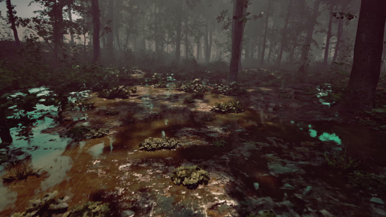 un día soleado de otoño en el pantano