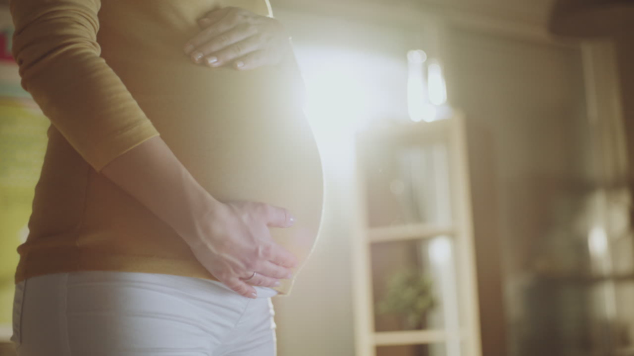 임신 한 여자 가 배 를 들고 있다