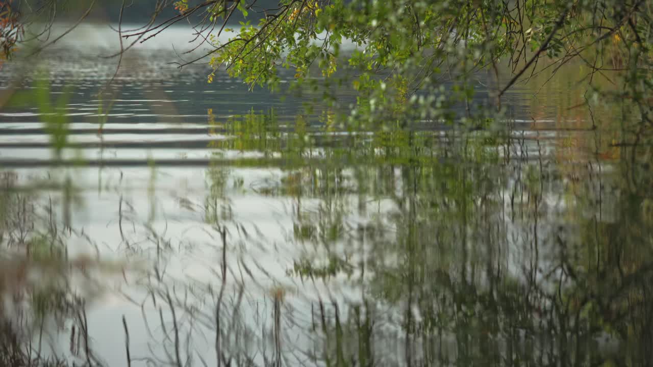 시골 자연 스페인의 호수 물에 반영된 나무와 나뭇잎