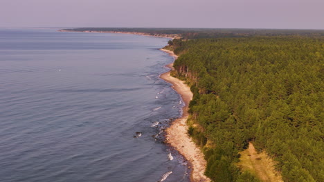 coastal forest scenery