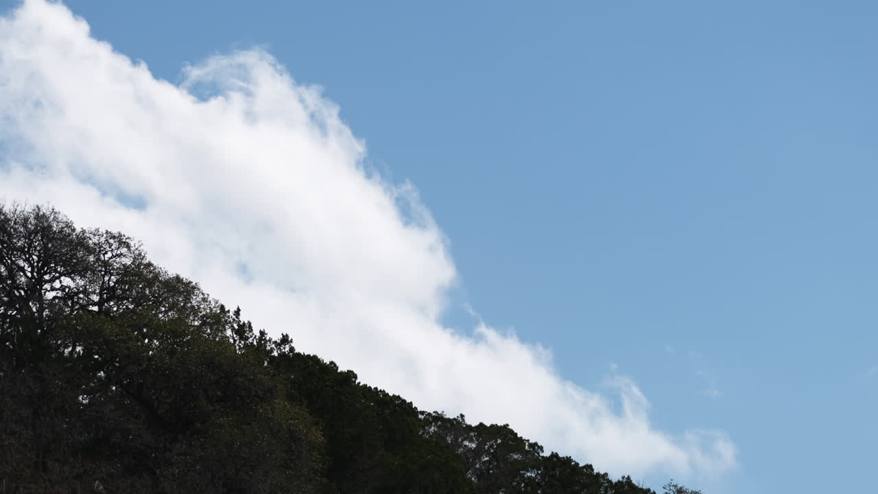 Timelapse of puffy clouds moving over a tree covered hillside