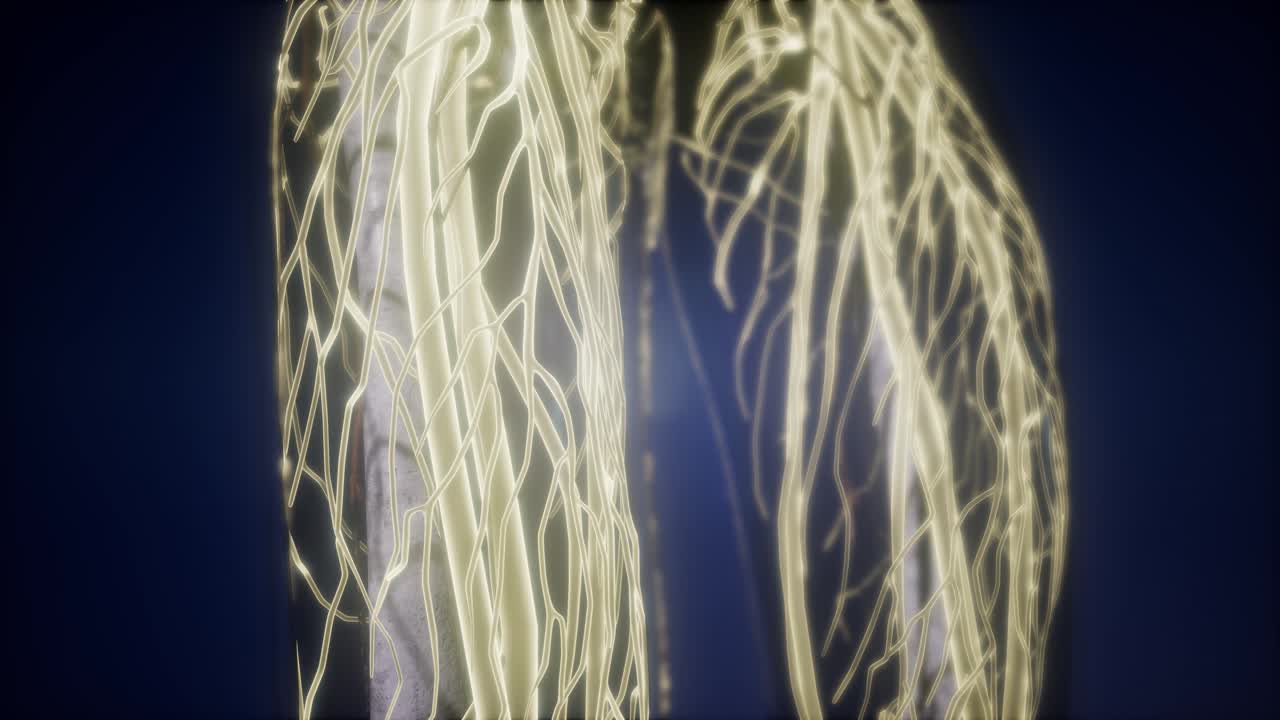 Corpo umano con vasi sanguigni luminosi