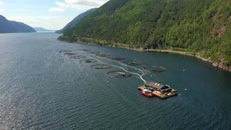 aerial footage farm salmon fishing in norway