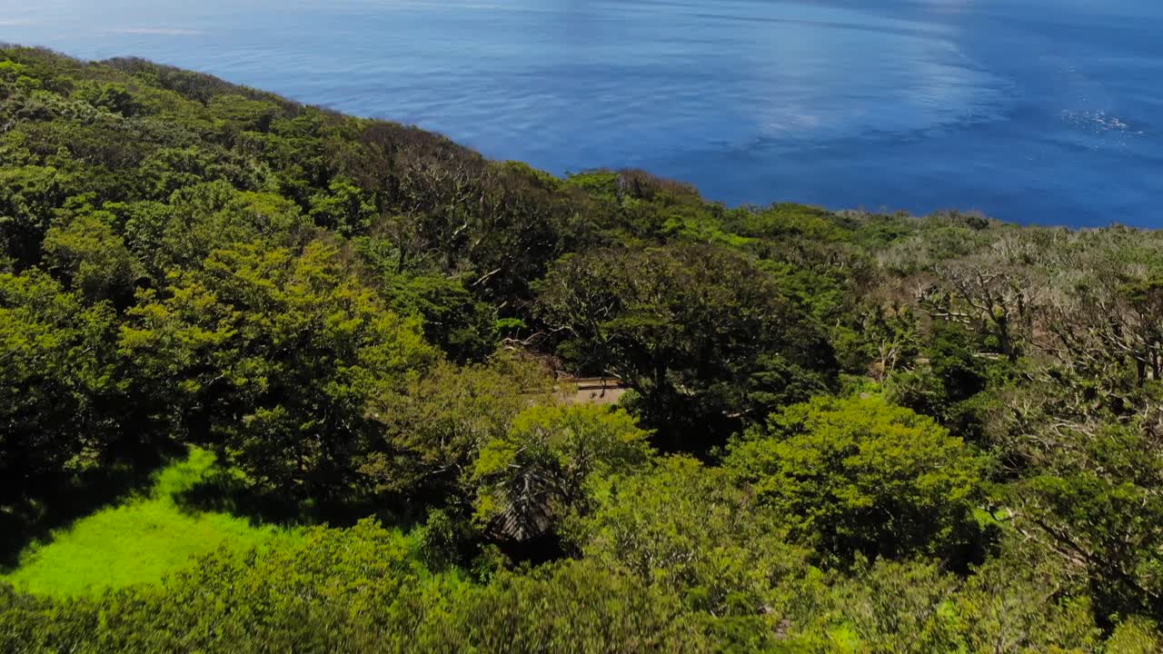 inclinación aérea sobre un bosque denso y siempre verde hacia el hermoso océano azul oscuro y las islas en un día claro y soleado