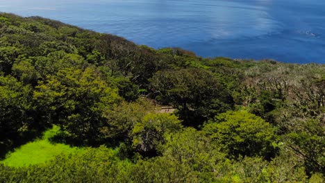 aerial tilt up over dense, evergreen forest towards beautiful dark blue ocean and islands on clear and sunny day