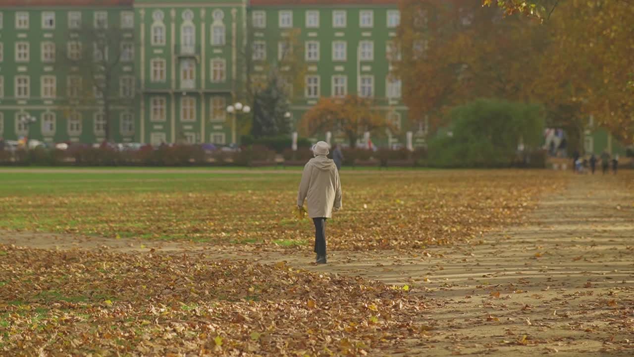 가을에 공원에서 낙엽이 가득한 들판을 걷는 여자 - 와이드 샷