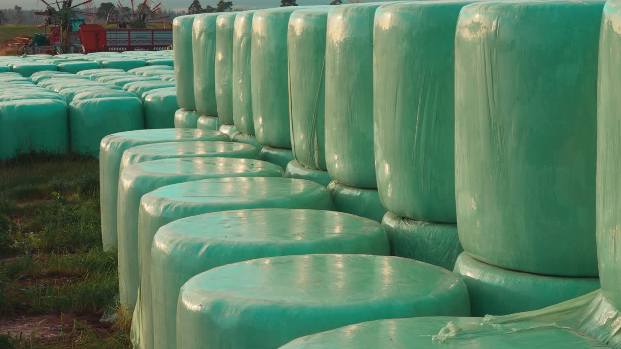 황금시간대에 녹색 사료 더미를 움직이는 트랙터 지게차의 시간 경과