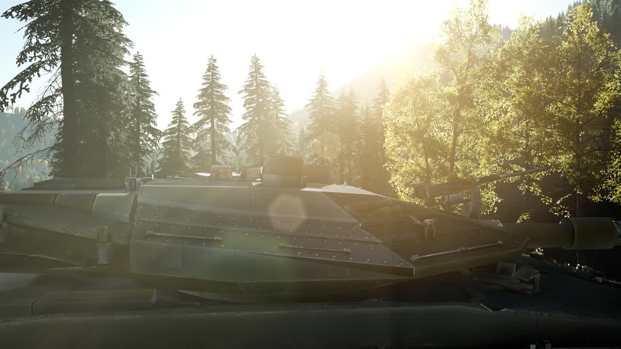 해가 지면서 숲 속 에 있는  ⁇ 은 녹색  ⁇ 크