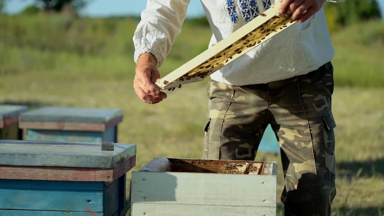 Beekeeper in protective workwear inspecting honeycomb frame at apiary. Beekeeping concept. Beekeeper harvesting honey