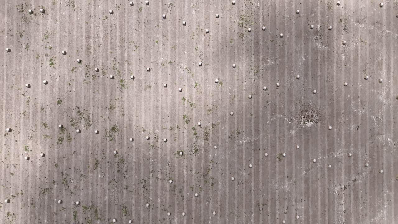 갓 수확한 건초 베일로 덮인 농장 땅의 하향식 드론 샷