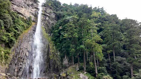 a cascading waterfall flowing through lush greenery in nachikatsuura, wakayama, offering a sense of tranquility and natural splendor.