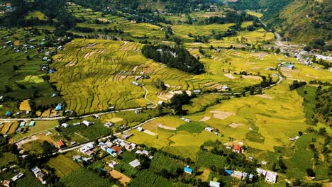 Vista-Aérea-De-Las-Tierras-De-Cultivo-De-Arroz-En-La-Zona-Rural-De-Nepal.