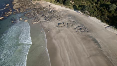 Flyover-Beautiful-And-Serene-Beach-In-Tawharanui-Regional-Park---aerial-shot