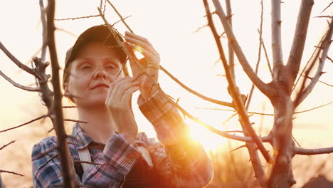 retrato de una mujer que trabaja en el jardín al atardecer inspecciona los brotes jóvenes de un árbol