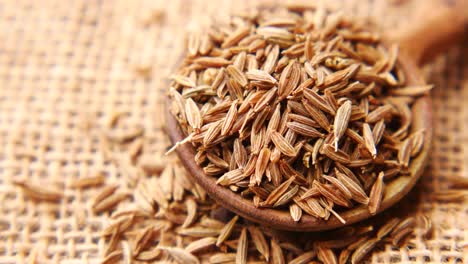 cumin seeds in wooden spoon