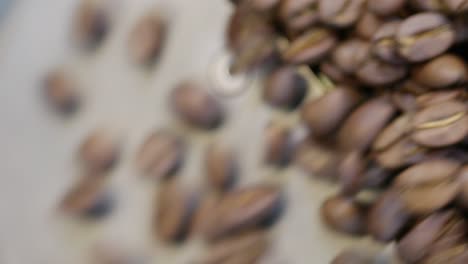 experience the rich aroma of freshly ground coffee beans in a vibrant kitchen setting.