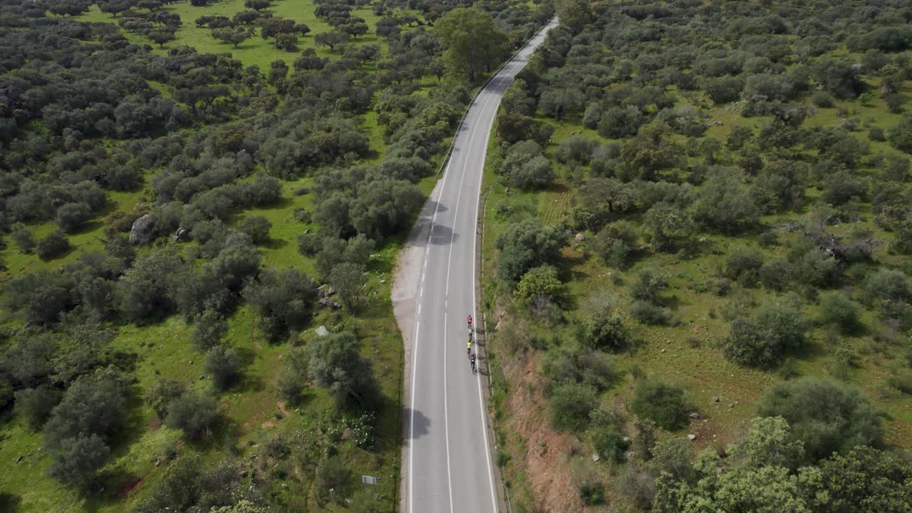 cyclists riding along a winding road surrounded by dense green woodland in Portalegre Portugal - aerial