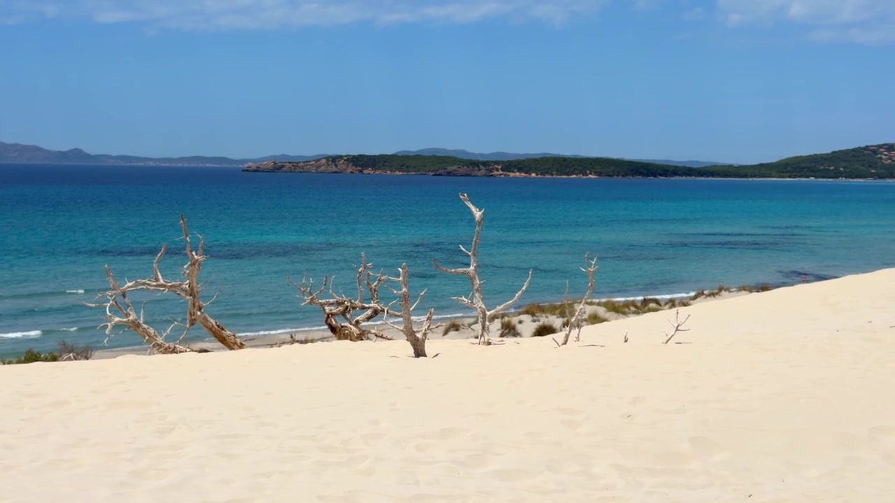 Beautiful Porto Pino coastline featuring white dunes, sculpted dead trees, and crystal-clear Mediterranean waters.